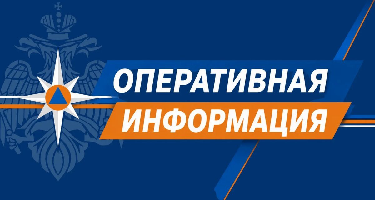 Спасатели за выходные потушили 12 пожаров и помогли заблудившемуся мужчине выйти из леса