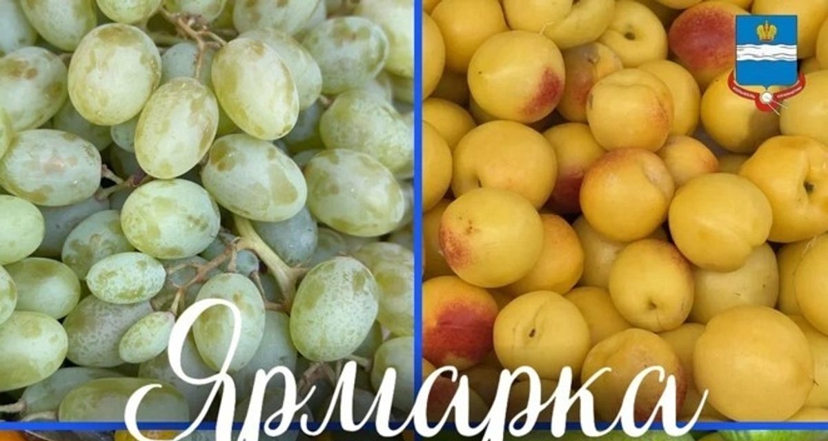 В Калуге 23 и 24 октября пройдет ярмарка у сквера имени Ленина