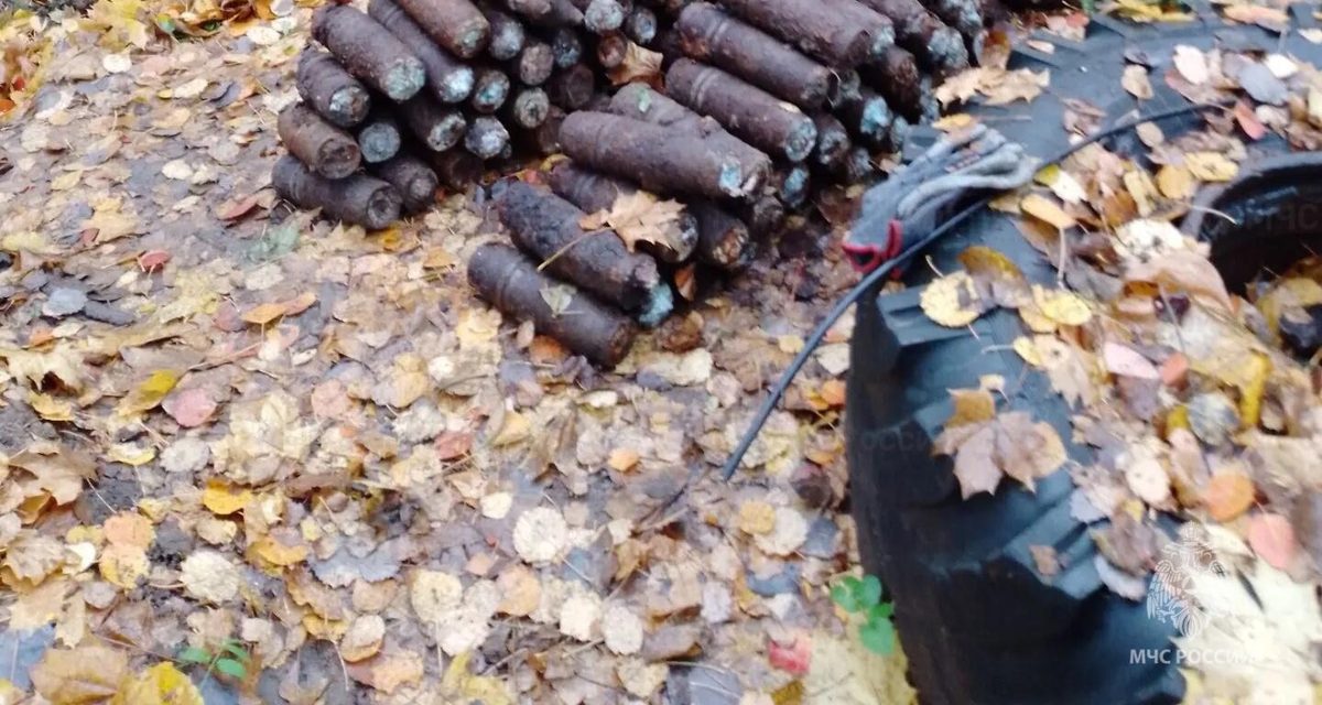 В лесу Калуги нашли 237 снарядов времён ВОВ и обезвредили их за сутки
